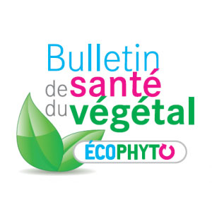 Lutte contre les insectes nuisibles