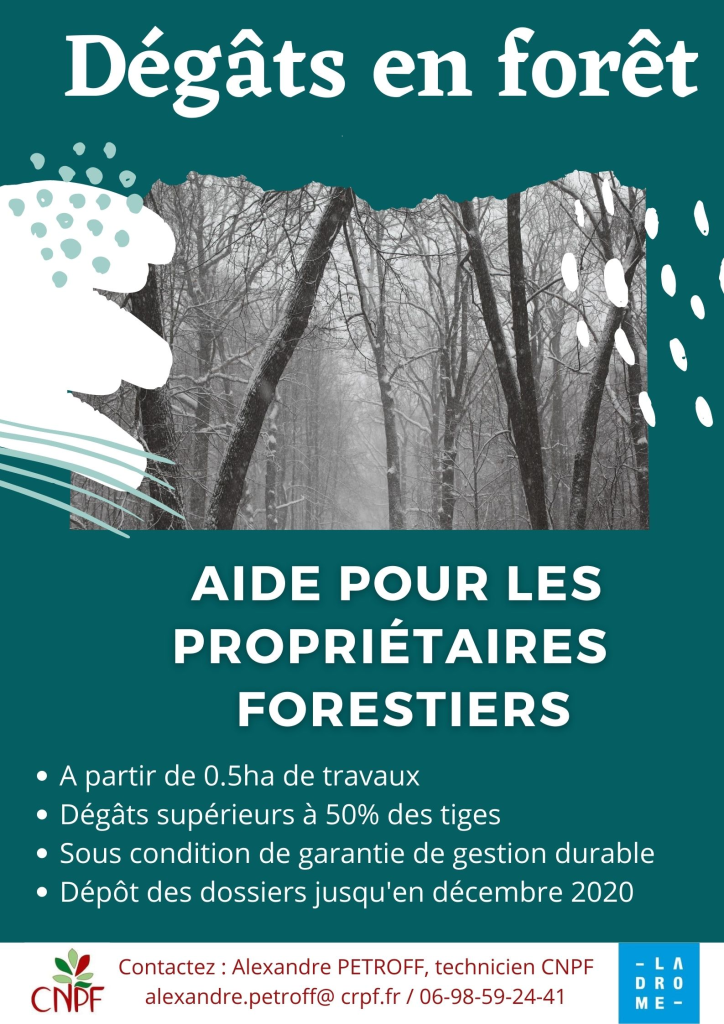 Aides pour les propriétaires forestiers suite aux dégâts de neige