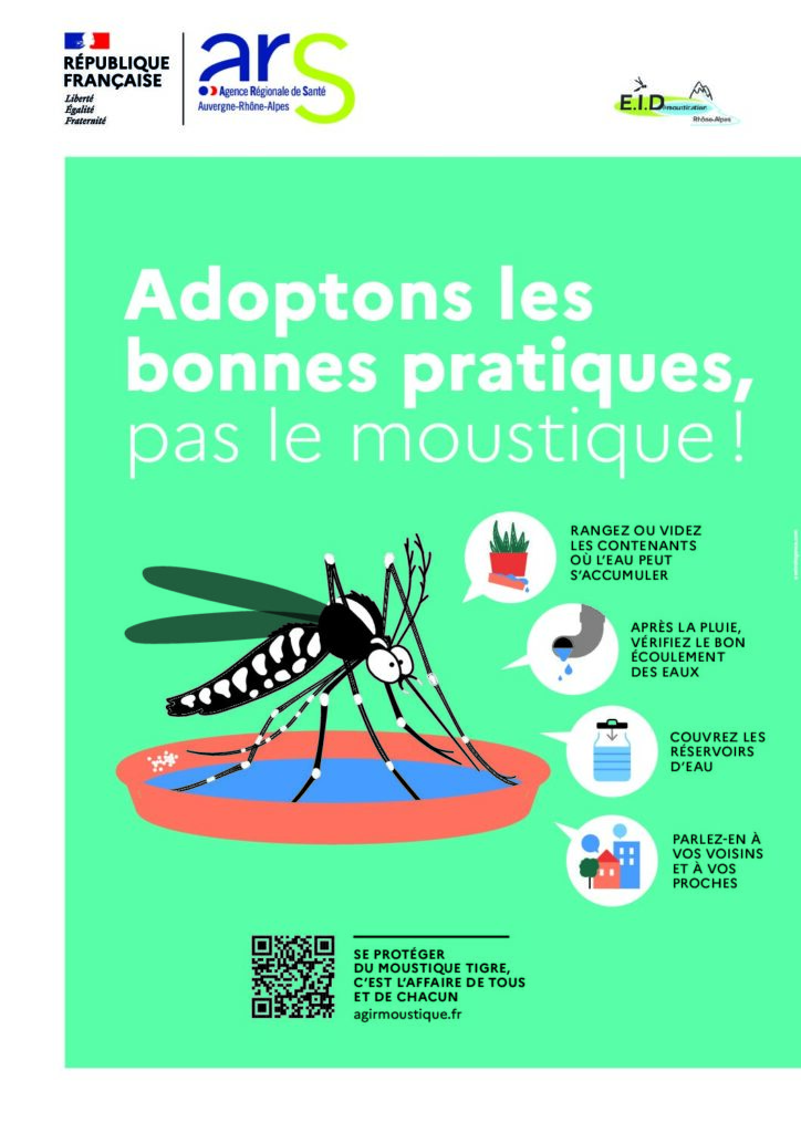 Moustique tigre : agissons dès maintenant pour passer un été plus tranquille